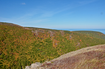 View across the Meat Cove Brook Valley to the Western Highlands