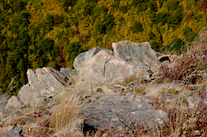 ../essays/32/thumbnails/2014.10.07_dsc_3825.jpg