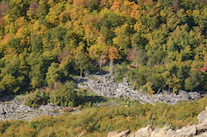 ../essays/32/thumbnails/2014.10.07_dsc_3859.jpg