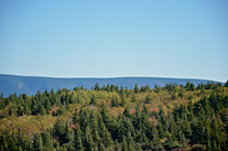 ../essays/32/thumbnails/2014.10.07_dsc_3884.jpg