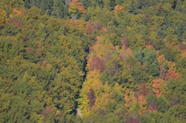../essays/32/thumbnails/2014.10.07_dsc_3924.jpg