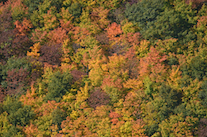 ../essays/32/thumbnails/2014.10.07_dsc_3968.jpg