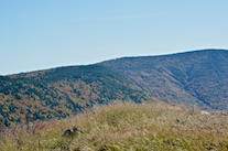 ../essays/32/thumbnails/2014.10.07_dsc_4044.jpg