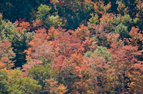 ../essays/32/thumbnails/2014.10.07_dsc_4084.jpg