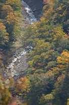 ../essays/32/thumbnails/2014.10.07_dsc_4149.jpg