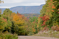 North Mountain and the colours along the South Ridge Road