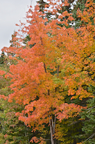 ../essays/32/thumbnails/2014.10.08_dsc_4191.jpg