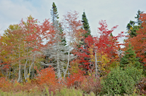 ../essays/32/thumbnails/2014.10.08_dsc_4221.jpg
