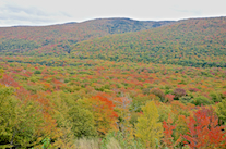 ../essays/32/thumbnails/2014.10.08_dsc_4240.jpg