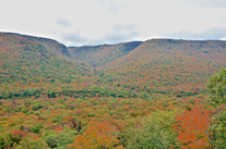 ../essays/32/thumbnails/2014.10.08_dsc_4245.jpg