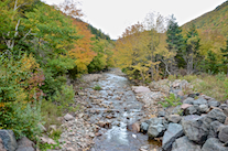 Looking upstream from the bridge over the Red River