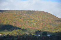 ../essays/32/thumbnails/2014.10.09_dsc_4320.jpg