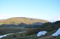 The northern portion of the highlands on the west side of the Margaree River