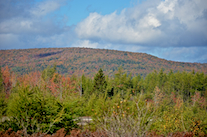 ../essays/32/thumbnails/2014.10.09_dsc_4334.jpg