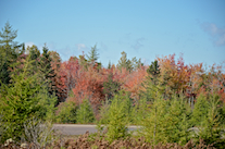 ../essays/32/thumbnails/2014.10.09_dsc_4335.jpg