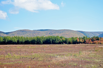 ../essays/32/thumbnails/2014.10.09_dsc_4338.jpg