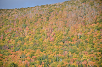 ../essays/32/thumbnails/2014.10.09_dsc_4365.jpg