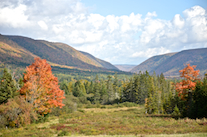 ../essays/32/thumbnails/2014.10.09_dsc_4368.jpg