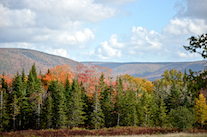 ../essays/32/thumbnails/2014.10.09_dsc_4372.jpg
