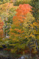 ../essays/32/thumbnails/2014.10.09_dsc_4454.jpg