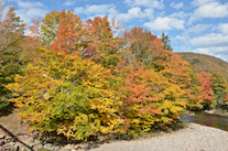../essays/32/thumbnails/2014.10.09_dsc_4455.jpg