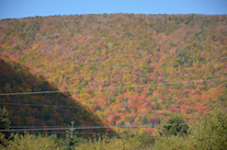 ../essays/32/thumbnails/2014.10.09_dsc_4479.jpg
