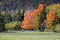 ../essays/32/thumbnails/2014.10.09_dsc_4480.jpg