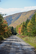 Looking south along the West Big Intervale Road from Big Intervale