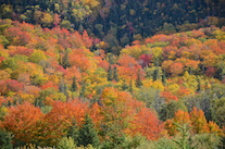 ../essays/32/thumbnails/2014.10.09_dsc_4487.jpg