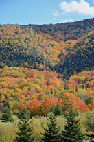 ../essays/32/thumbnails/2014.10.09_dsc_4489.jpg