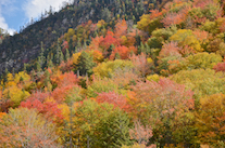 ../essays/32/thumbnails/2014.10.09_dsc_4491.jpg