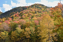 ../essays/32/thumbnails/2014.10.09_dsc_4492.jpg