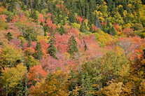 ../essays/32/thumbnails/2014.10.09_dsc_4493.jpg