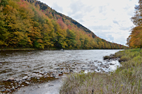 ../essays/32/thumbnails/2014.10.09_dsc_4496.jpg