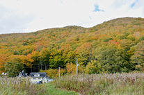 ../essays/32/thumbnails/2014.10.09_dsc_4497.jpg