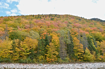 ../essays/32/thumbnails/2014.10.09_dsc_4505.jpg
