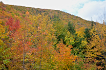 ../essays/32/thumbnails/2014.10.09_dsc_4530.jpg