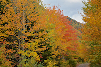 ../essays/32/thumbnails/2014.10.09_dsc_4531.jpg