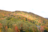 ../essays/32/thumbnails/2014.10.09_dsc_4536.jpg