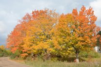 ../essays/32/thumbnails/2014.10.09_dsc_4572.jpg