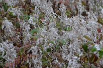../essays/32/thumbnails/2014.10.09_dsc_4578_2.jpg