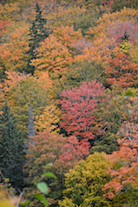 ../essays/32/thumbnails/2014.10.09_dsc_4580.jpg