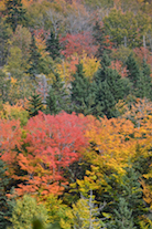 ../essays/32/thumbnails/2014.10.09_dsc_4583.jpg
