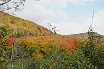 ../essays/32/thumbnails/2014.10.09_dsc_4585.jpg