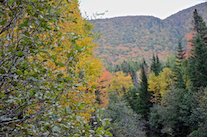 ../essays/32/thumbnails/2014.10.09_dsc_4587.jpg