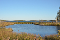 Inhabitants Bay from the Port Malcolm Road