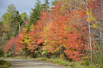 Colours along the Glencoe Road