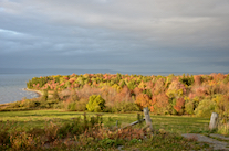 McInnes Point