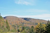 The Cape Mabou Highlands from the Mabou Mines Road