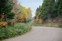 Colours along the Dunmore Road